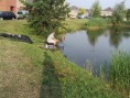 /album/visclinic-karpervissen-met-de-vaste-stok/spm-a0814s-jpg/